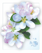 Мини-открытка "Весенняя яблоня" МК-10176