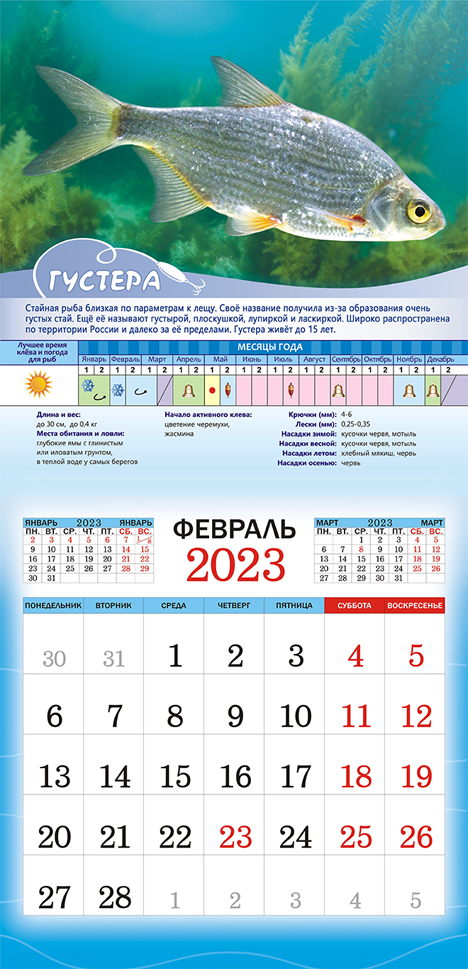 Календарь рыболова 2023. Рыболовный календарь на 2023 год. Календарь рыболова на 2023 год. Календарь рыбака 2023.