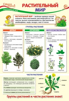 Школьный плакат "Растительный мир" ПО-13408