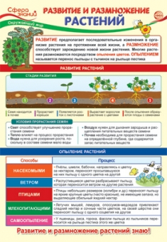 Школьный плакат "Окружающий мир в начальной школе. Развитие и размножение растений" ПО-13972