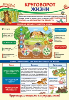 Школьный плакат "Окружающий мир в начальной школе. Круговорот жизни" ПО-13973