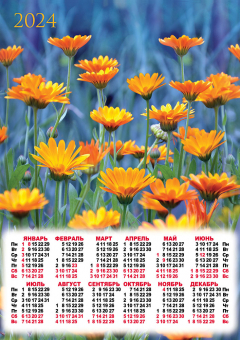 Листовой календарь на 2024 год А3 "Полевые цветы. Солнечная календула" ПМ-24-523
