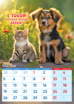 Перекидной настенный календарь на ригеле на 2025 год "Кот и пёс" РБ-25-041 (без упаковки)