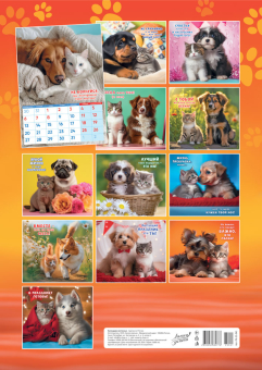 Перекидной настенный календарь на ригеле на 2025 год "Кот и пёс" РБ-25-041 (без упаковки)