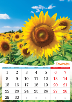 Перекидной настенный календарь на ригеле на 2025 год "Полевые цветы" РБ-25-032 (без упаковки)