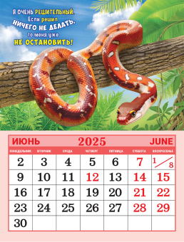 Календарь на магните на 2025 год "Символ года. Слишком много денег не бывает" КМО-25-006 (в упаковке)