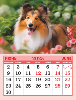 Календарь на магните на 2025 год "Собаки. Милый друг" КМО-25-017 (в упаковке)