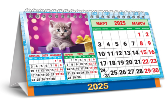 БОЛЬШОЙ настольный перекидной календарь-домик на 2025 год "Милые котята" КДБ-25-014