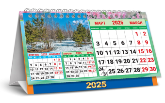 БОЛЬШОЙ настольный перекидной календарь-домик на 2025 год "Природа" КДБ-25-019