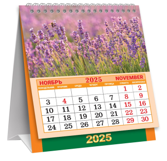 МАЛЫЙ настольный перекидной календарь-домик на 2025 год "Полевые цветы" КД-25-023