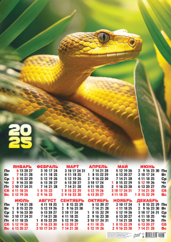 Листовой календарь на 2025 год А2 "Символ года. Жёлтый и прекрасный" ПО-25-008