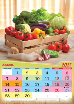 Перекидной настенный календарь на ригеле на 2025 год "Садово-огородный лунный календарь" РБ-25-048 (в упаковке)