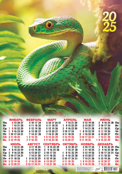 Листовой календарь на 2025 год А2 "Символ года. Удивленный змей" ПО-25-010