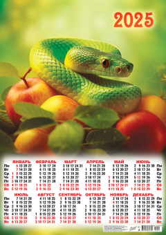 Листовой календарь на 2025 год А2 "Символ года. Яблочный царь" ПО-25-019