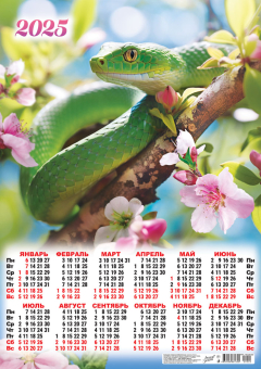 Листовой календарь на 2025 год А2 "Символ года. В цветущем саду" ПО-25-022