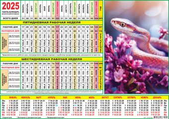 Табель-календарь 2022 "Символ года" ТК-25-002 (предзаказ)