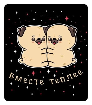 Магнит виниловый "Вместе теплее" 15.11.02351