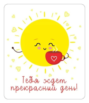 Магнит виниловый "Тебя ждет прекрасный день" 15.11.02354