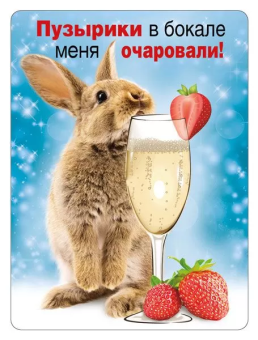 Магнит виниловый "Пузырьки в бокале меня очаровали" 15.16.01414