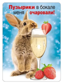 Магнит виниловый "Пузырьки в бокале меня очаровали" 15.16.01414