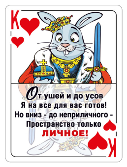 Магнит виниловый "От ушей и до усов" 15.16.01428