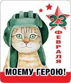 Магнит виниловый "23 февраля. Моему герою" 15.19.01177