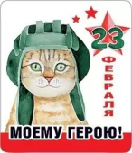 Магнит виниловый "23 февраля. Моему герою" 15.19.01177