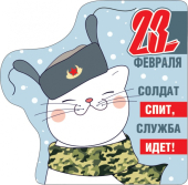 Магнит виниловый "23 февраля. Солдат спит, служба идёт" 15.19.01199