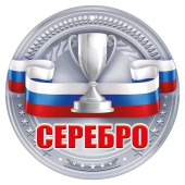 Картонная медаль "Серебро" 55,482,00