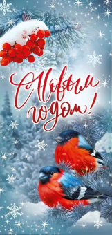 Открытка "С Новым Годом" 014.373