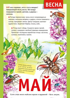 Плакат "12 месяцев: Май" 071.498