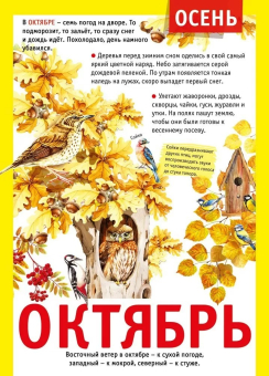 Плакат "12 месяцев: Октябрь" 071.503