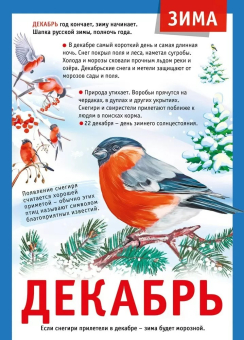 Плакат "12 месяцев: Декабрь" 071.505
