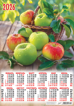 Листовой календарь на 2026 год А2 "Натюрморт. Свежие яблочки" ПО-26-190