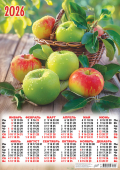 Листовой календарь на 2026 год А2 "Натюрморт. Свежие яблочки" ПО-26-190