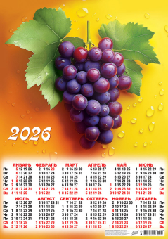 Листовой календарь на 2026 год А2 "Натюрморт. Прекрасный виноград" ПО-26-196