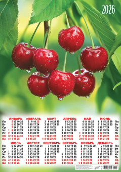Листовой календарь на 2026 год А2 "Ягоды. Спелая вишня" ПО-26-232
