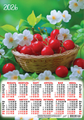 Листовой календарь на 2026 год А3 "Ягоды. Вишня в цветах" ПМ-26-191