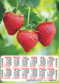 Листовой календарь на 2026 год А3 "Ягоды. Идеальная клубника" ПМ-26-192