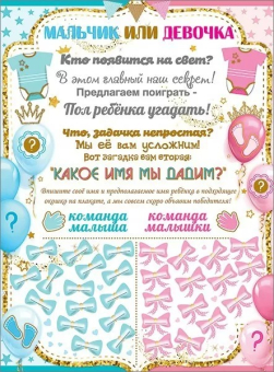 Плакат "Мальчик или Девочка" 0801121 Плакат "Мальчик или Девочка" 0801121