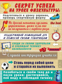 Плакат "Секрет успеха на уроке физкультуры" 3001535