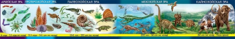 Плакат "Лента развития жизни на Земле" 3001675