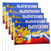 Набор флажков "Выпускник РФ" 042006006н