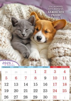 Перекидной настенный календарь на ригеле на 2026 год "Кот и пёс. Верные друзья" РБ-26-029 (в упаковке)