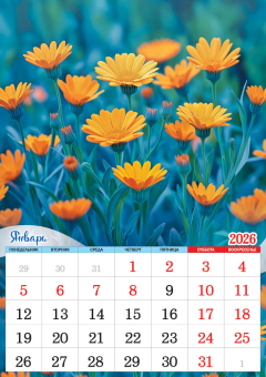 Перекидной настенный календарь на ригеле на 2026 год "Полевые цветы. Васильки и маки" РБ-26-033 (в упаковке)