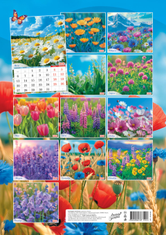 Перекидной настенный календарь на ригеле на 2026 год "Полевые цветы. Васильки и маки" РБ-26-033 (в упаковке)