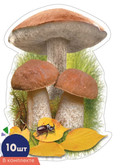 Набор украшений на скотче "Гриб Подберёзовик" КМ-17021