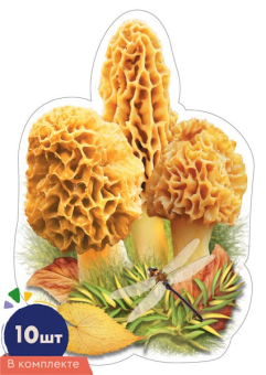 Набор украшений на скотче "Гриб Сморчок" КМ-17023