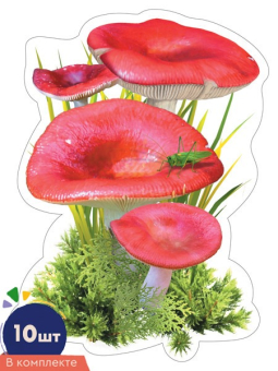 Набор украшений на скотче "Грибы Сыроежки" КМ-17024