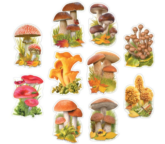 Комплект украшений на скотче "Грибная коллекция" КМ-17090
